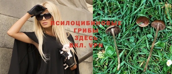трава Вязники