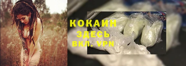 spice Вяземский
