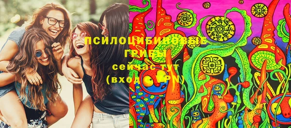spice Вязьма
