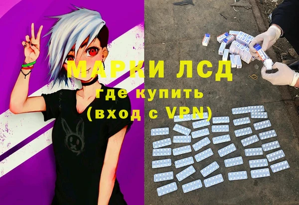 spice Вяземский