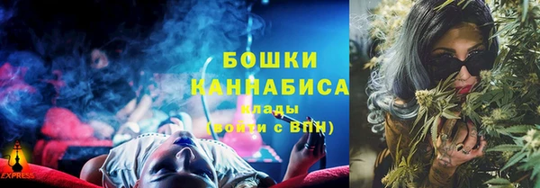 spice Вяземский
