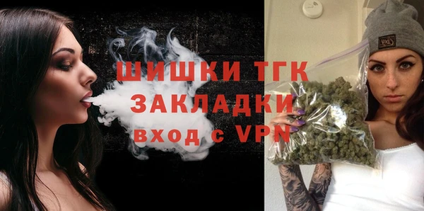 spice Вяземский